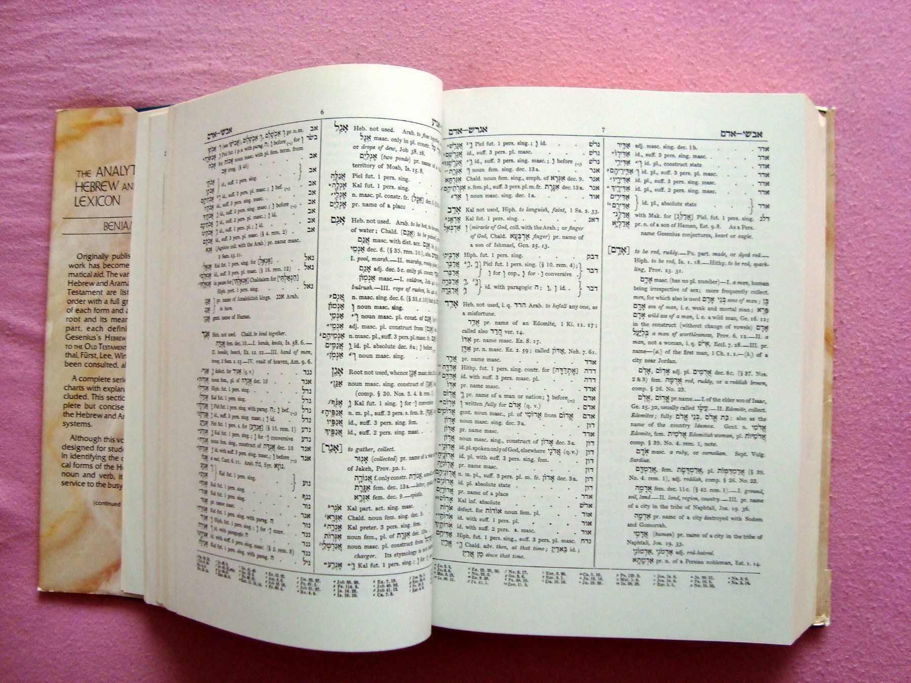 Libri: Lexique analytique de l'hébreu, Benjamin Davidson, 1980 – Usato da Martigny venduto da Abm1000 2