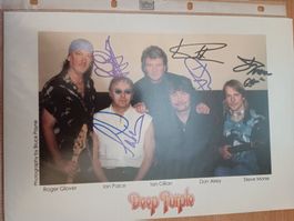 Deep Purple - 20x30cm - persönlich gesammelt
