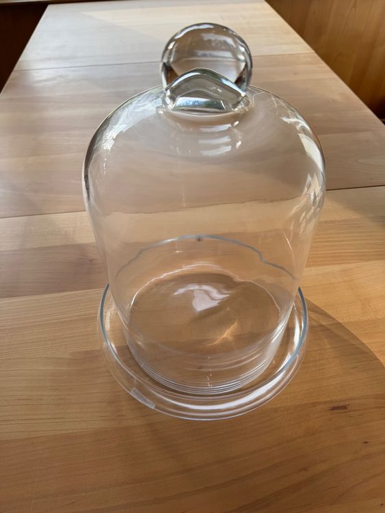 2 Glasglocken Mit Korksockel - Süße Deko Für Terrarien & Sammlerstücke