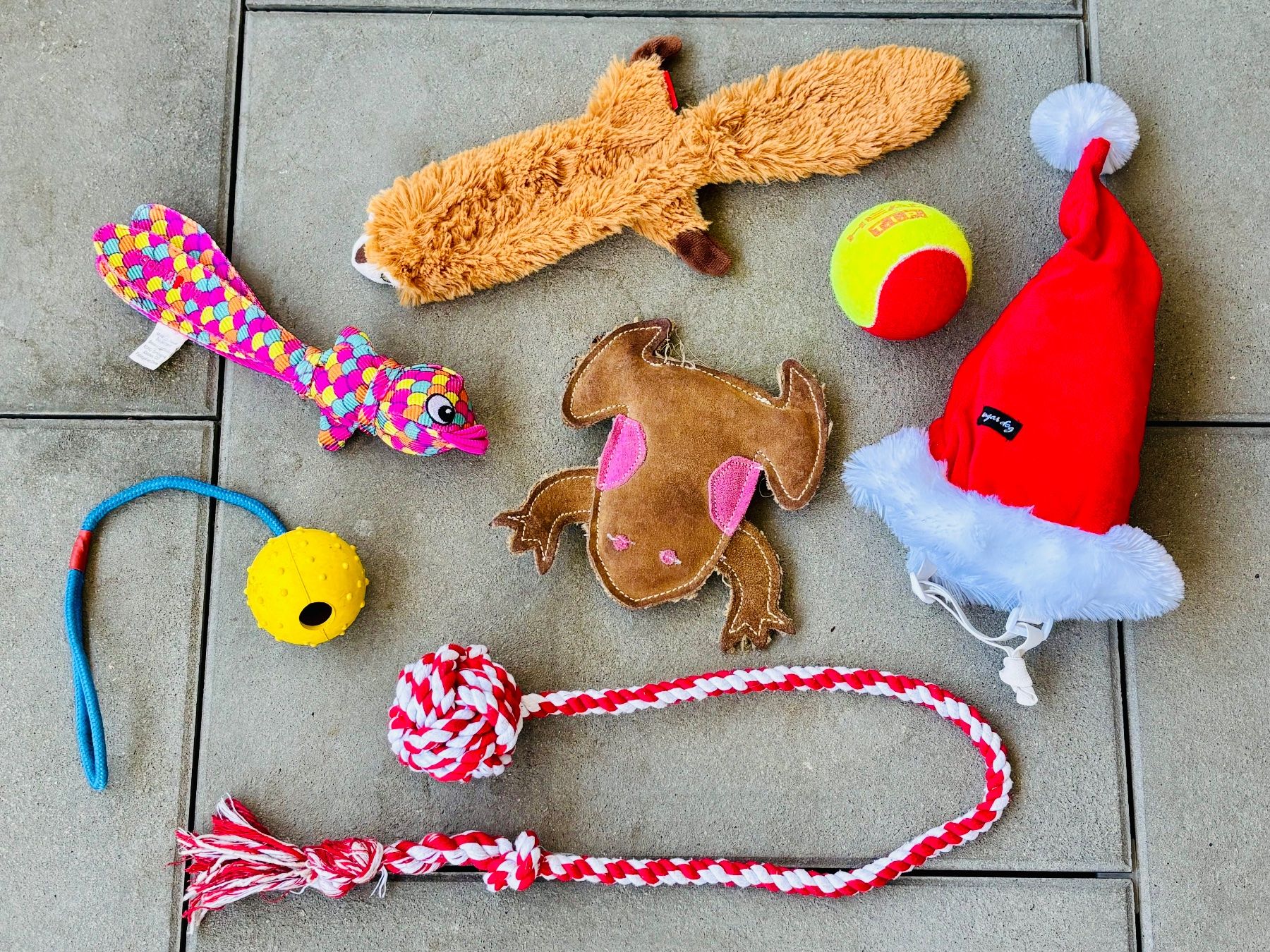 Spielzeuge: Assortiertes Hunde-Spielzeug – Gebraucht aus Fehraltorf von nolram75