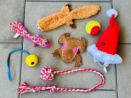 Assortiertes Hunde-Spielzeug