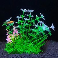 Ensemble de plante d'aquarium - 14cm x 8cm (P524)