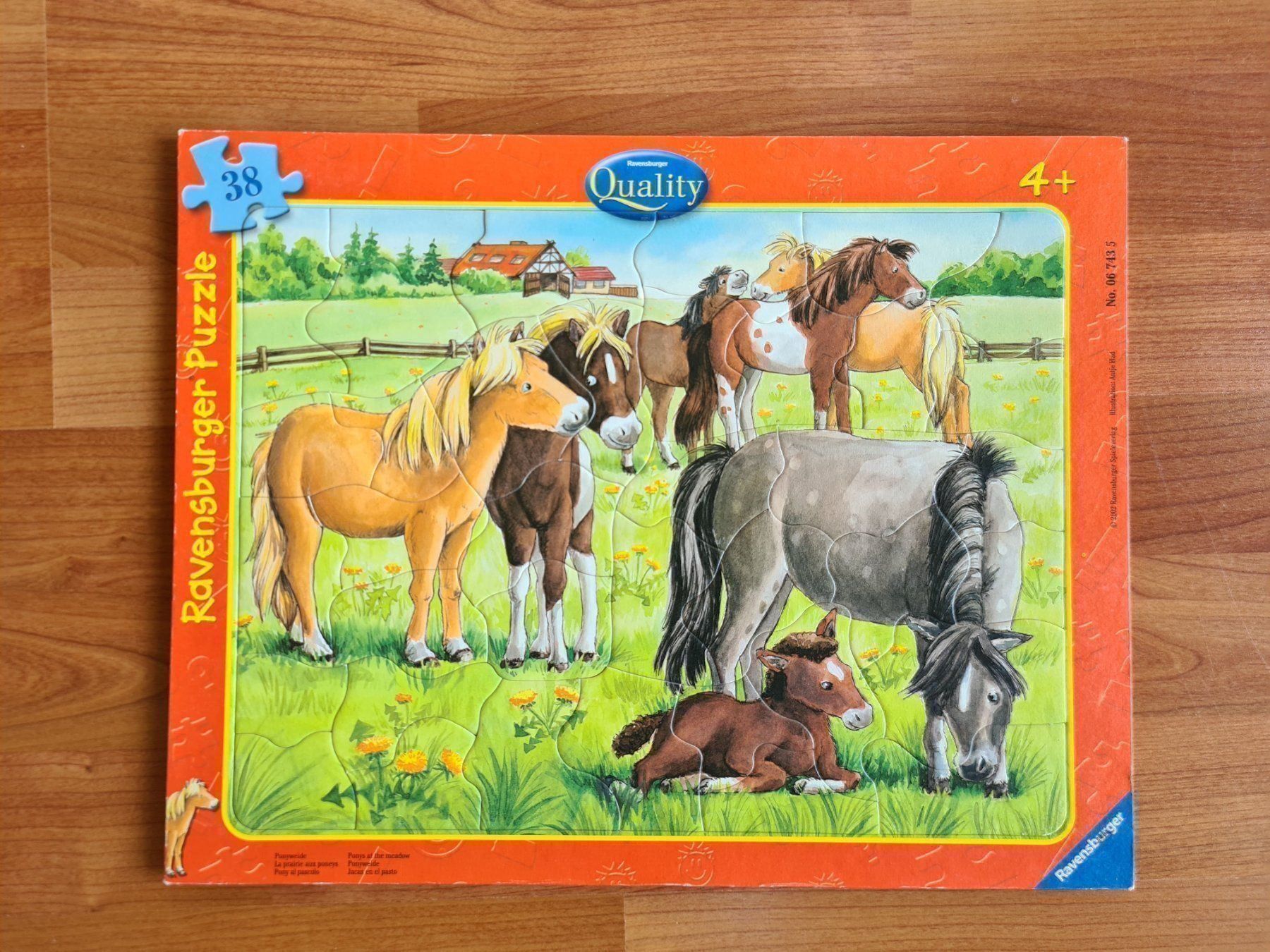 Puzzle: 4 Puzzles bis 1000 Teile – Usato da Goldswil venduto da 3377 1