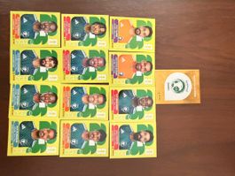 FIFA World Cup Stickers 2022 Panini Saudi Arabia 15 pcs