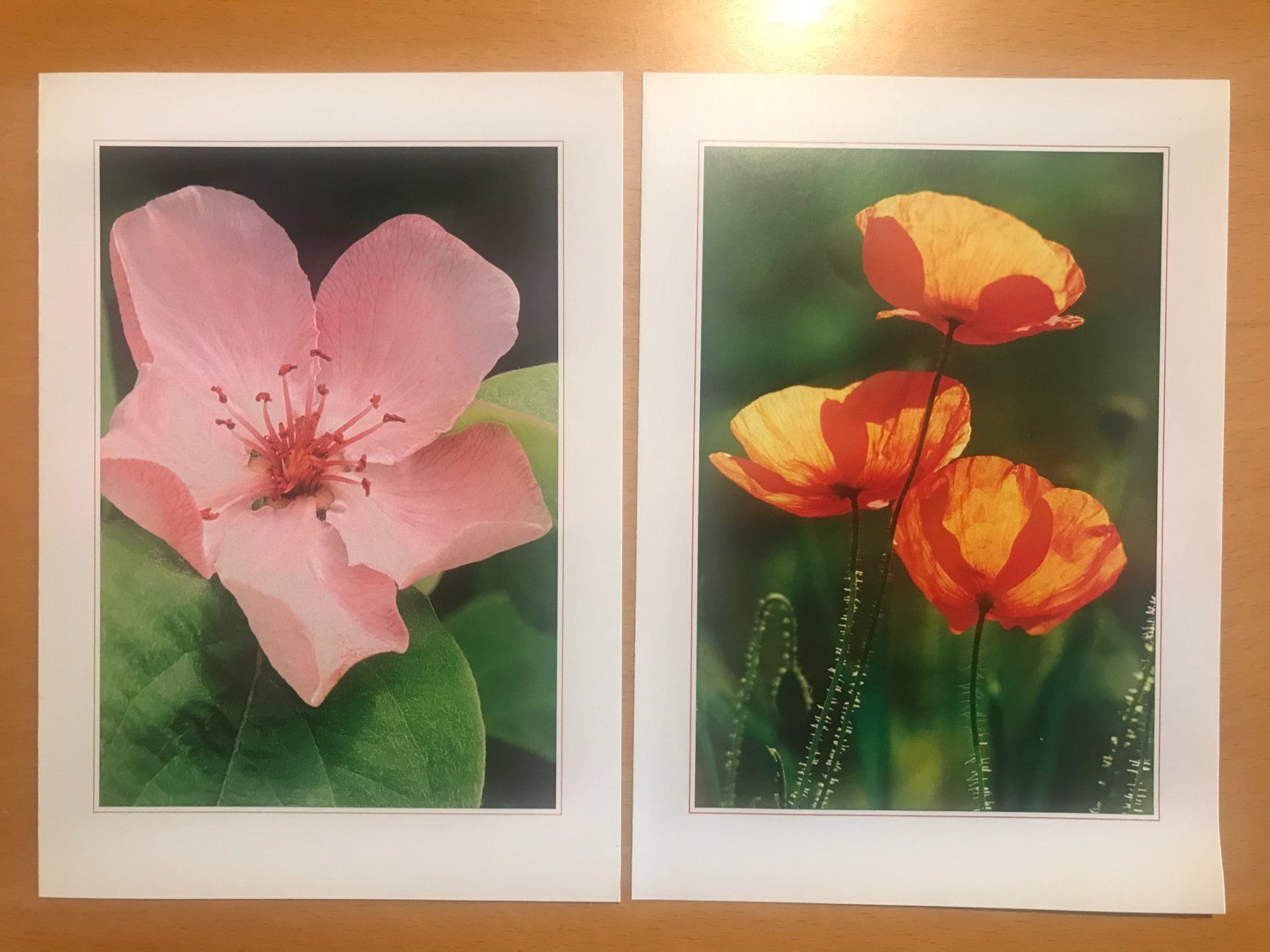 Cartoline postali: 2x Grusskarten Blumen – Usato da Luzern venduto da mey_s13