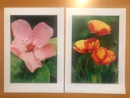 2x Grusskarten Blumen