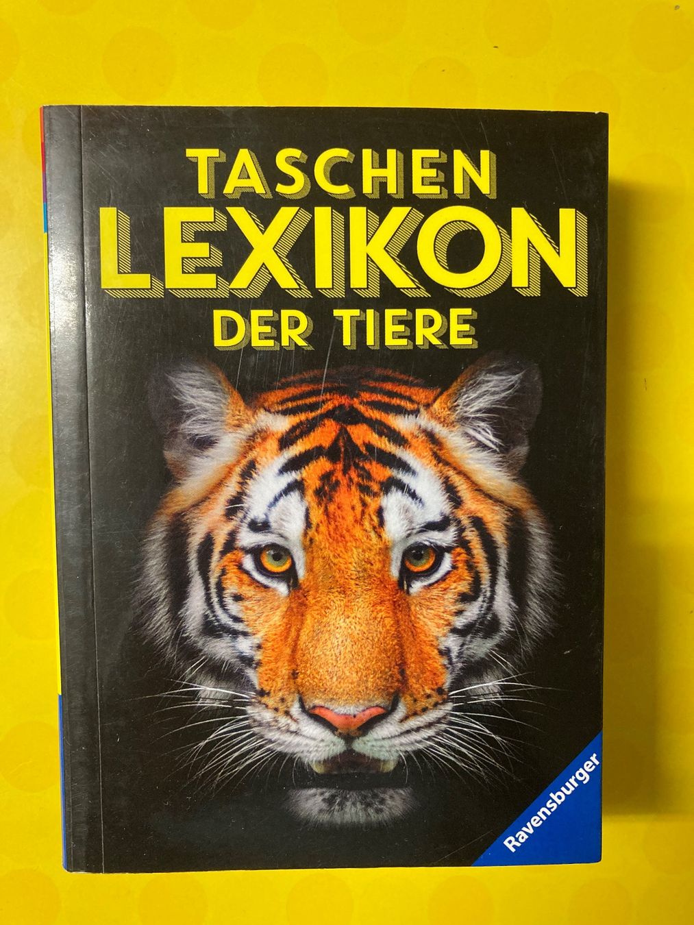 Libri: Taschenlexikon der Tiere – Usato da Basel venduto da AufeinenBlick