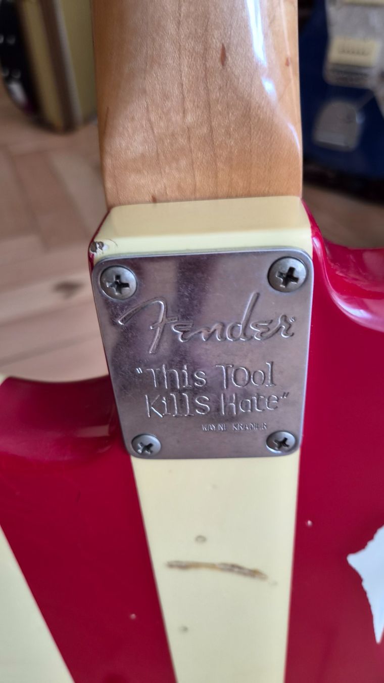 Strumenti musicali: Fender "This Tool Kills Hate" Stratocaster – Usato da pieterlen venduto da AntonelloGuitars 5