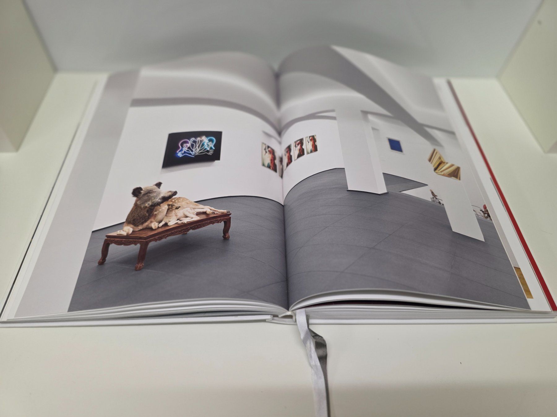 Livres: Buch Sammlung Esther Grether: Affinité Élective Kunst 2013 – D'occasion à Herisau par Dinge-in-Bewegung 4