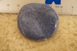 Koralle Blau Versteinert   Scheibenstein    –Topstone-