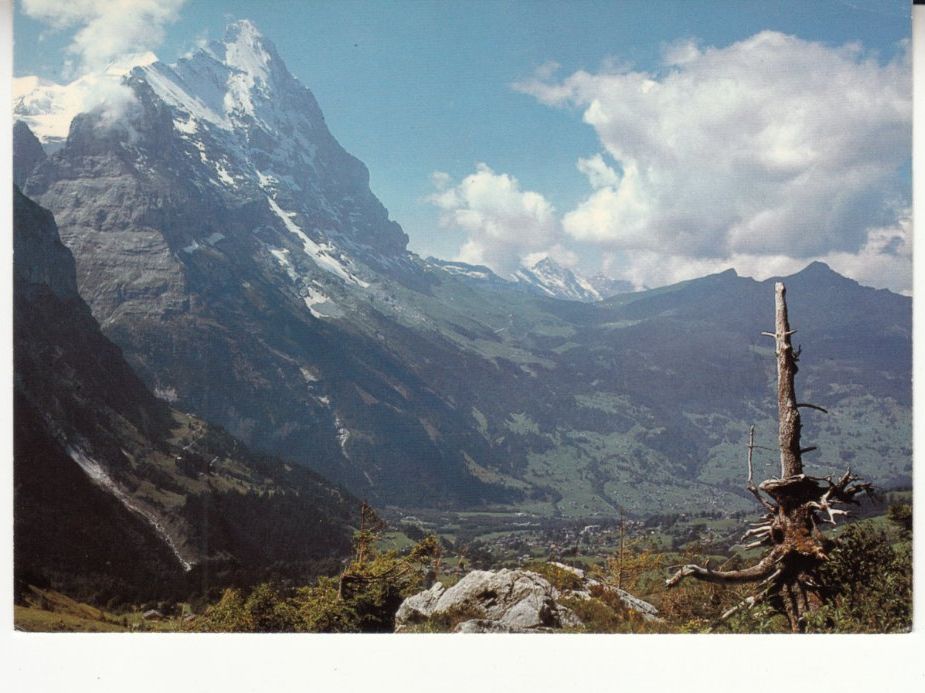 Ansichtskarten: Eiger 1981 – Gebraucht aus Bürglen TG von StampGraf