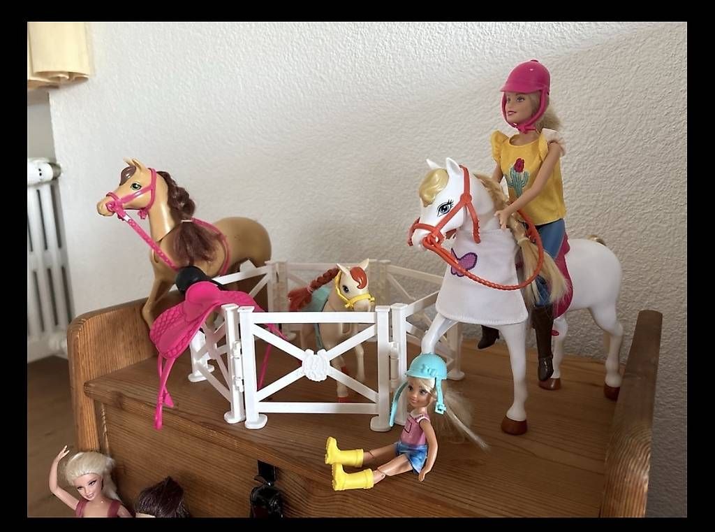 Spielzeuge: Barbies, Pferde und Zubehör  – Gebraucht aus Wald ZH von Schlumpfine80 4