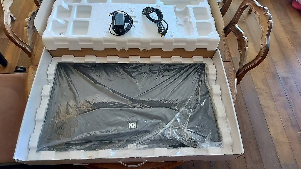 Monitor: Ecran Sun Vision Display rE – Usato da Nyon venduto da Hastoy 1
