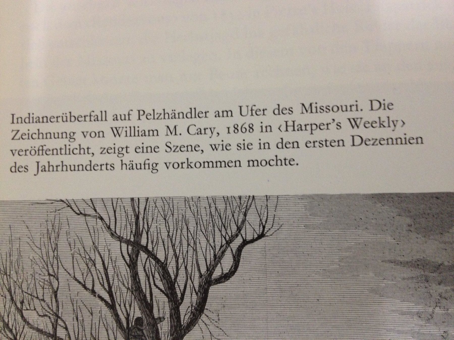 Libri: Buch die Eroberung eines Kontinents – Usato da Erlenbach ZH venduto da Ritschly 9