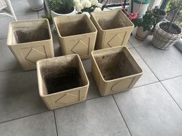 5 Pflanzentöpfe / Pflanzenkübel