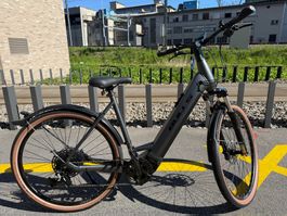 BULLS Cross Rider EVO 2 750 grau matt