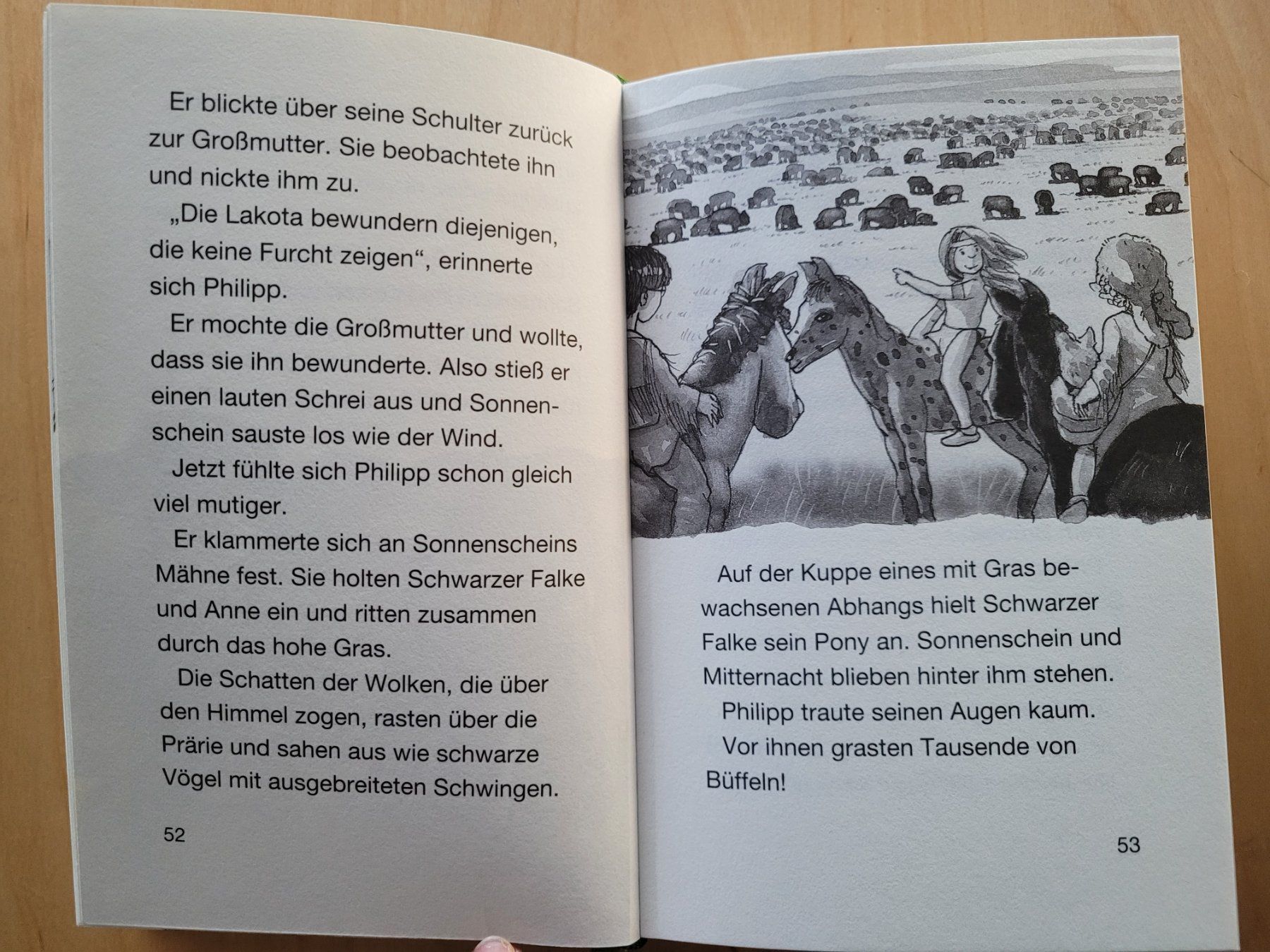 Libri: Das magische Baumhaus - Sammelband 4 Bände – Usato da Wiesendangen venduto da samoalk 1
