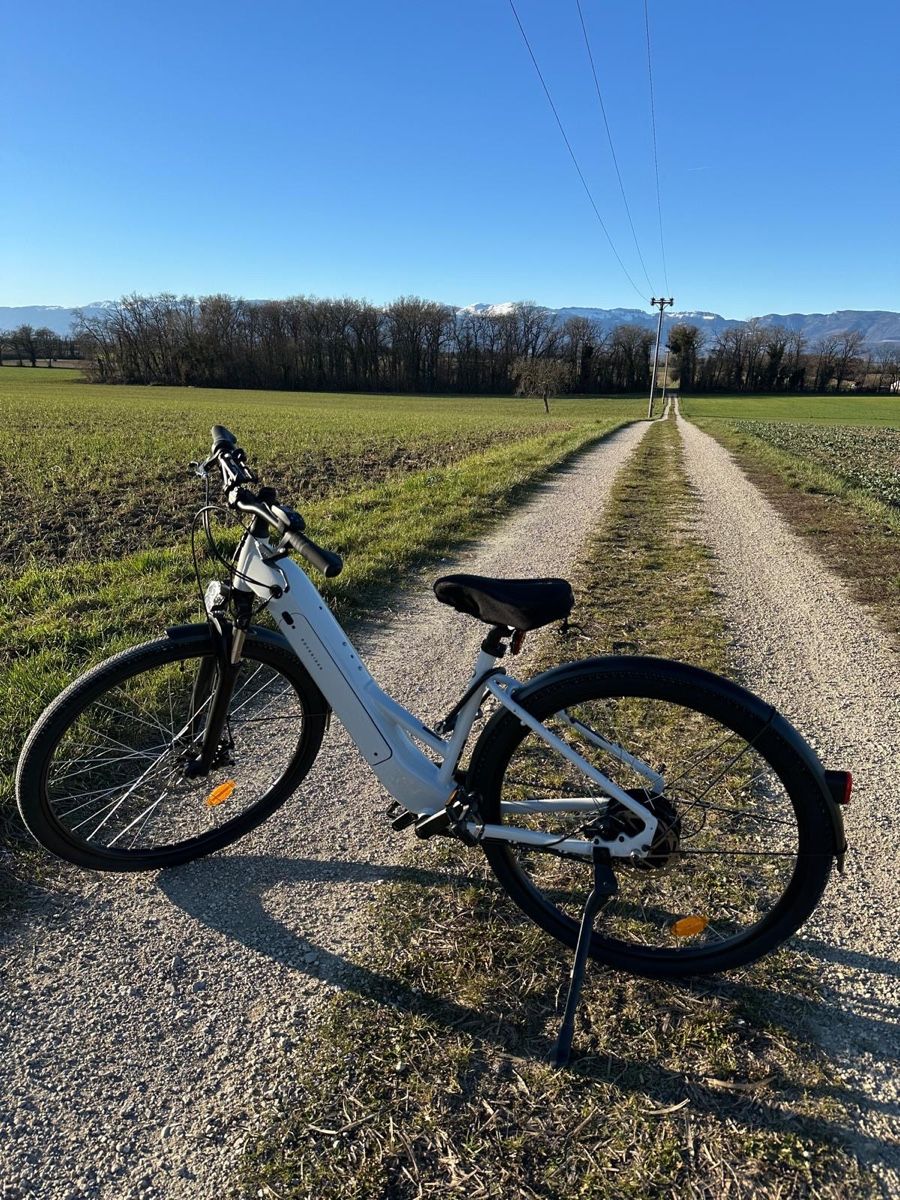 Biciclette: Vélo électrique comme neuf  – Nuovo (secondo la descrizione) da Chernex venduto da sif_6s8x 1