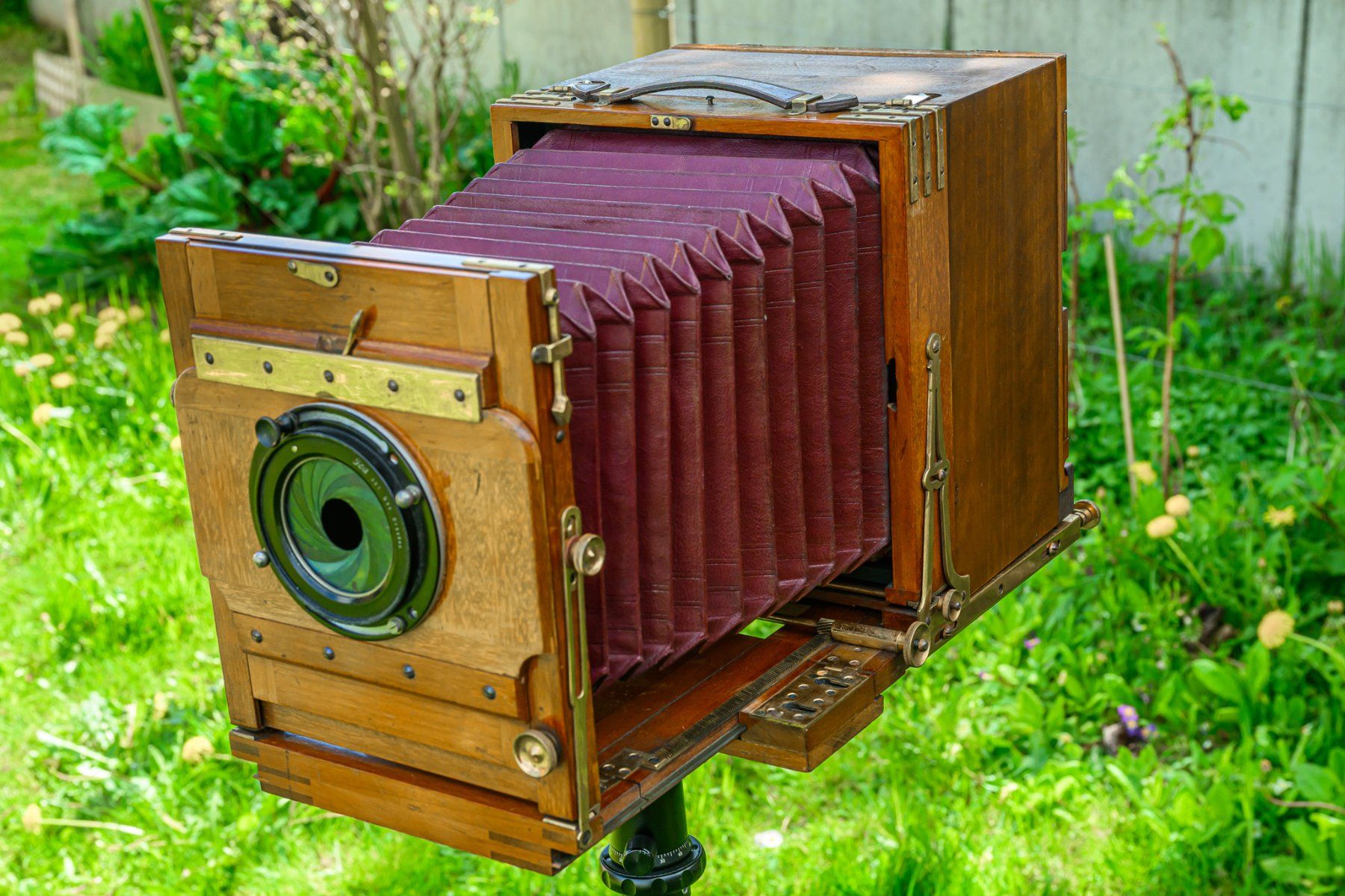 Fotocamera: Alte Balgenkamera – Usato da Boswil venduto da Facet 6