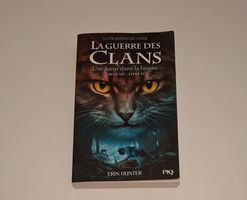 Une Lueur dans la Brume La guerre des clans