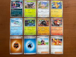 Pokemon 12er Karten Set (Versand gratis)