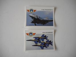 Panini Stickerset Wings of Fire 100 Stk.