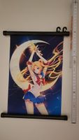 Sailor Moon Anime Banner
