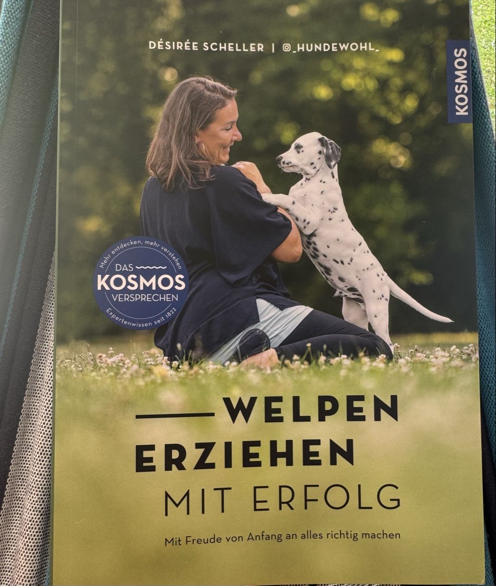 Libri: Welpen erziehen mit Erfolg – Nuovo (secondo la descrizione) da Luzern venduto da dongiovannid
