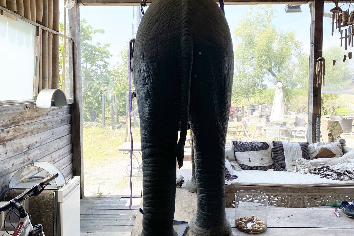 Statuette: Riesiger Elefant -  einzigartiges Dekostück – Usato da Ballwil venduto da ClassicGallery 1