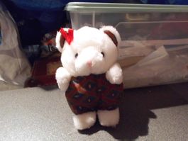 Teddy Bär, weiss, farbiger Körper