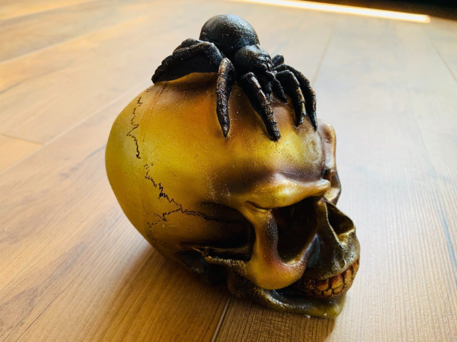Sculture & Statue: Totenschädel Schädel SKULL Spider 14cm NEU – Nuovo e nell'imballaggio originale da Bergdietikon venduto da shopAgent 1