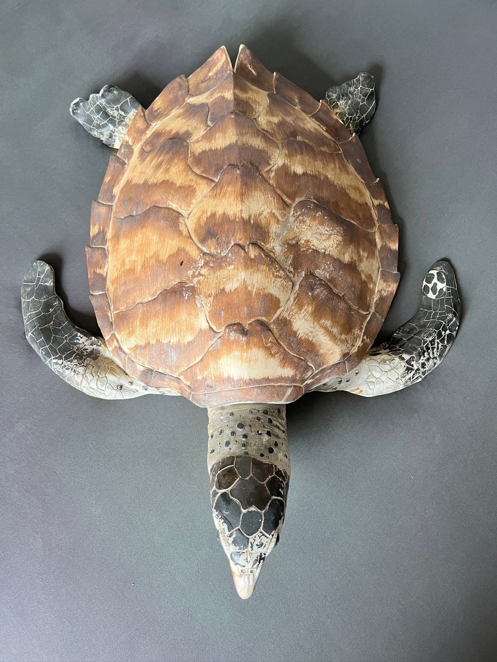 Statuette: Mereesschildkröte Schildkröte Schildi – Usato da Zollikofen venduto da fre_nq97
