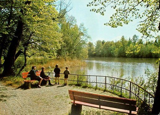 Cartoline postali: SCHINZNACH-BAD Uferpromenade an der Aare – Usato da Jona venduto da philajona