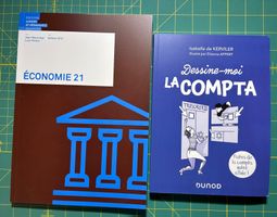 Lot de 2 livres comptabilité/économie