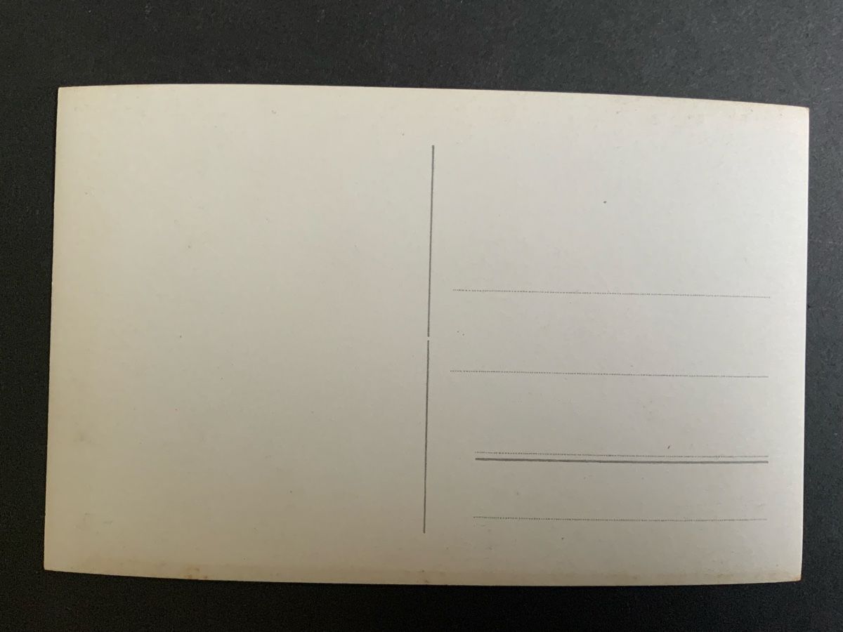 Cartoline postali: Ansichtskarte Schloss Birseck Ermitage schwarzweiss – Nuovo (secondo la descrizione) da Binningen venduto da chr_cr5n 1