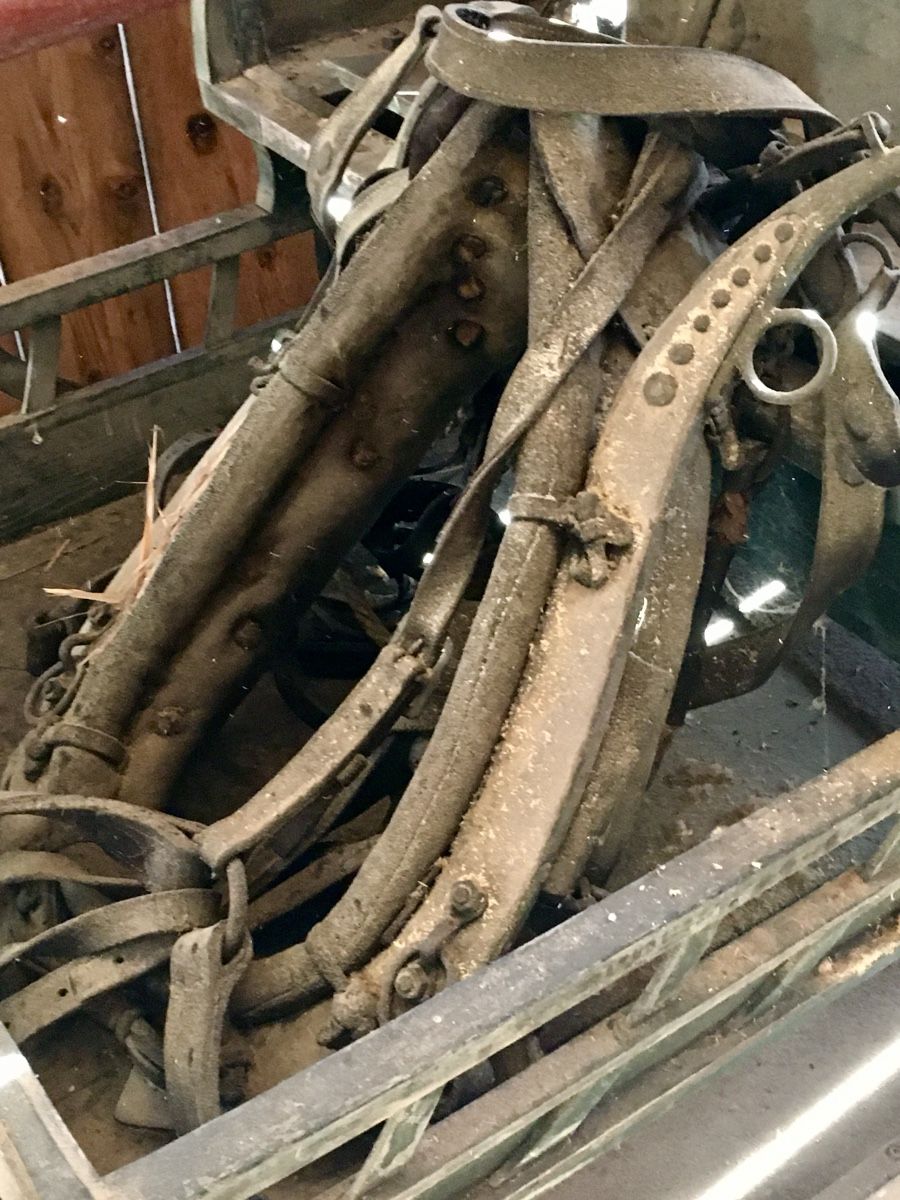 Alle Dekorationen: Holz-Pferdeschlitten mit Geschir – Gebraucht aus Zollbrück von iwa_l7yf 3