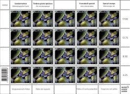 Bogen Mikroskopische Kunst Vergissmeinnicht**
