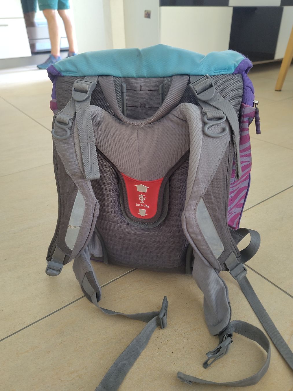 Step by Step Borse & Zaini: Kinderrucksack Step by Step lila Delfine gebraucht – Usato da Embrach venduto da JenDeca 1