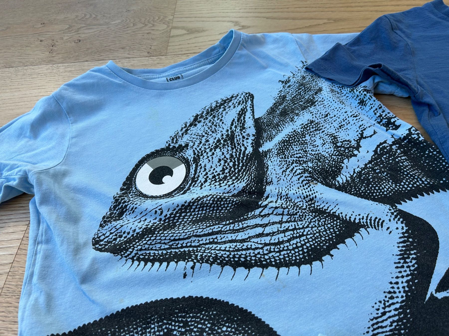 Camicie, T-shirt & Polo: T- Shirts Gr. 122/128 – Usato da Rothrist venduto da szc_9dg5 4