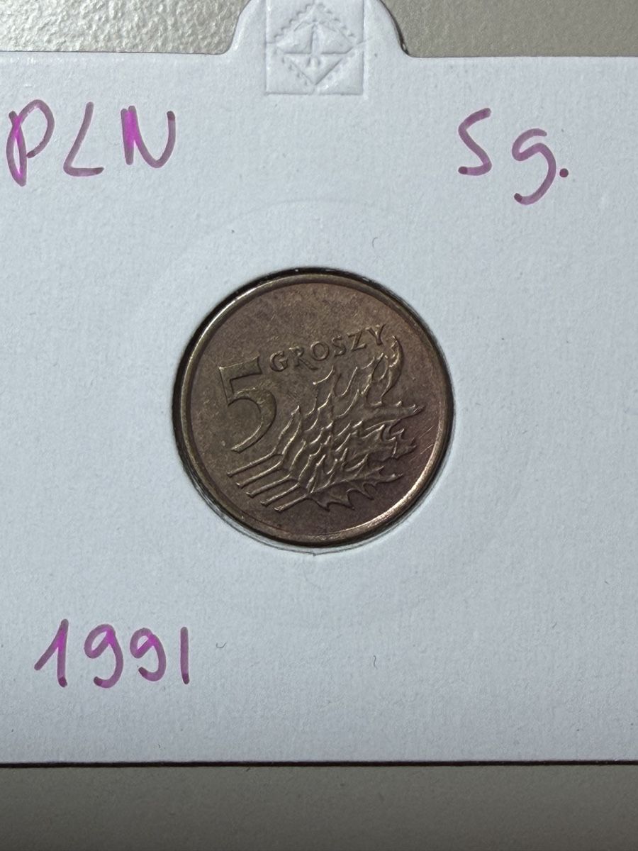 Tutti le monete: Pologne - 5 groszy - 1991  – Usato da Payerne venduto da Mike1682