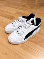 Puma (36 Grösse)
