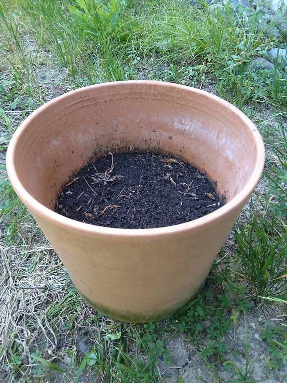 Vasi per fiori: 4 Pflanzen Töpfe gross Terracotta – Usato da Zürich venduto da shm_cw59 1