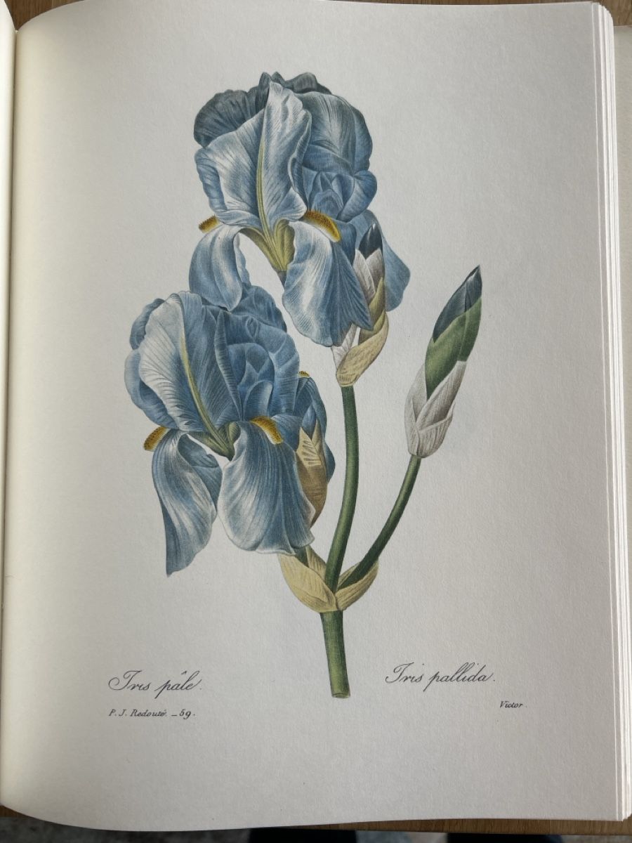 Bücher: Die schönsten Blumen und Früchte – Gebraucht aus Uffikon von Frosch1506 4