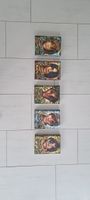 Woodwalkers Staffel 2, 1-5