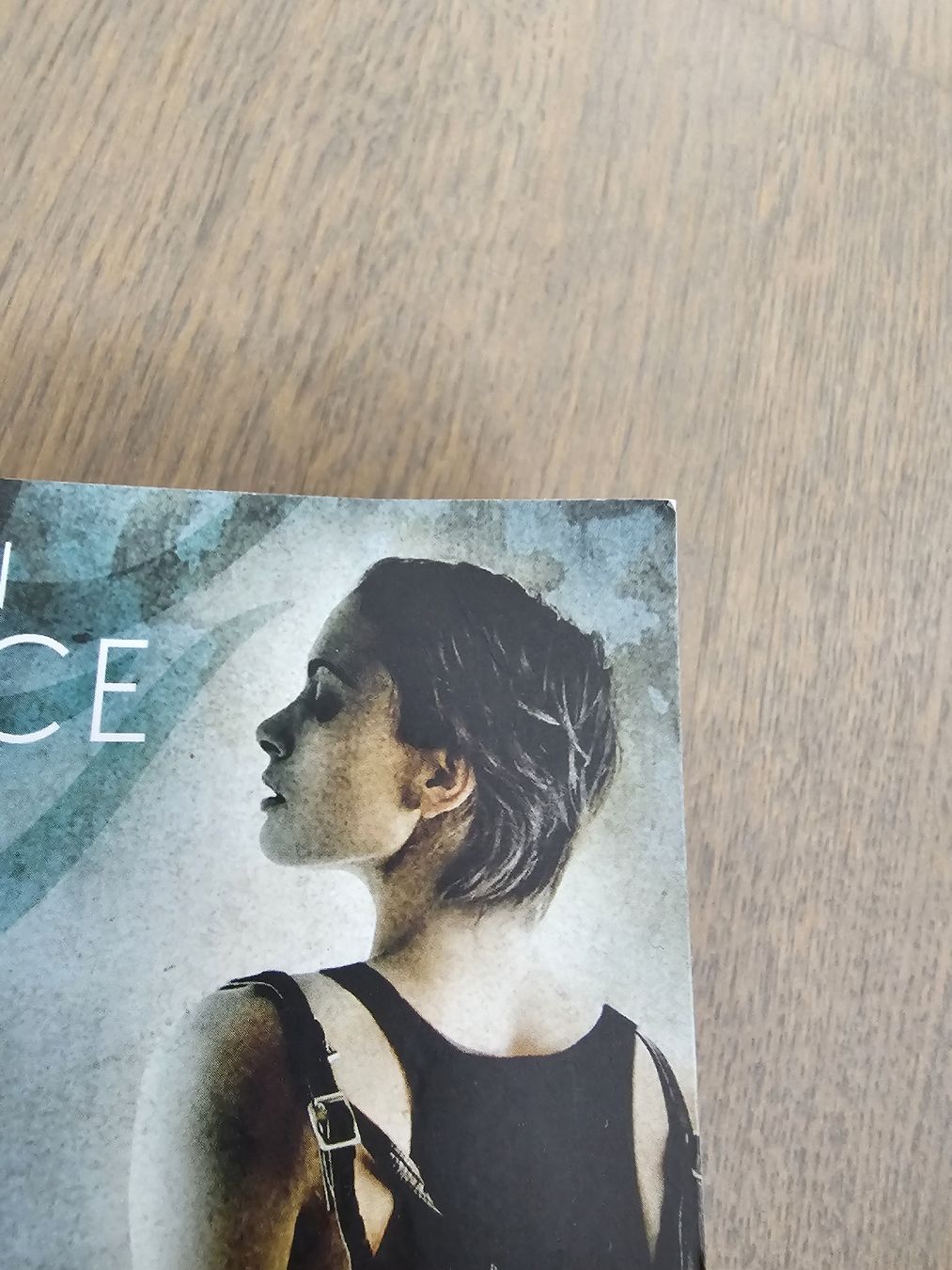 Bücher: Dorina Basarab - Karen Chance – Gebraucht aus Hinterforst von impatiently 5