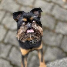 Profile image of BKLE_PNW