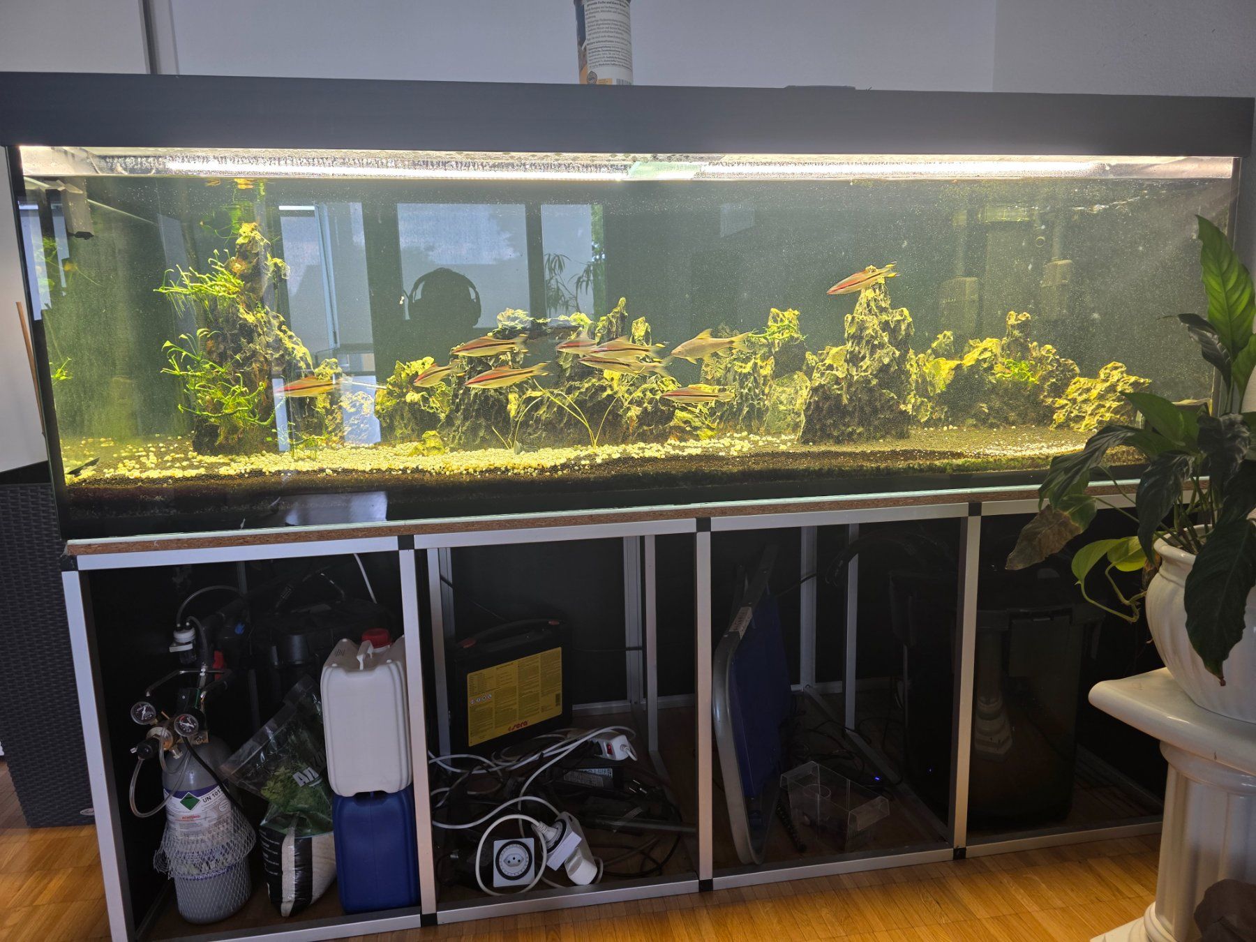 Aquarium: 960-Liter Aquarium Komplettset – D'occasion à Schaffhausen par Meerwasser76