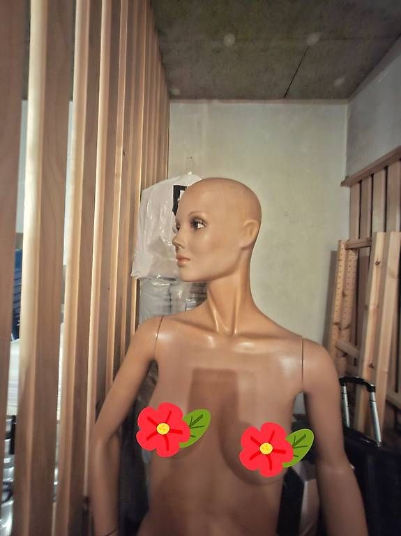 Altro in Decorazioni & Accessori: Mannequin vitrine complet articulé – Usato da Genève venduto da a_t_g5kq 2