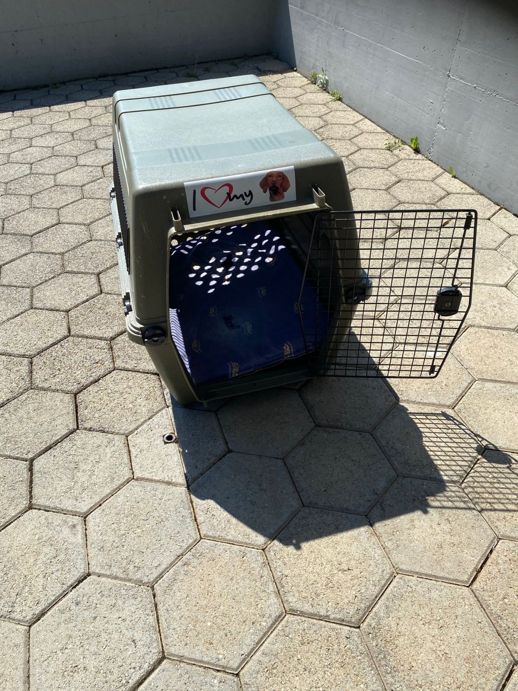Gabbie, trasporto & Sicurezza: Hunde Transportbox Kennel – Usato da Dierikon venduto da aiko05 1