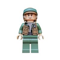 SW0367 Endor Rebel Commando Star Wars LEGO